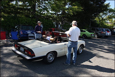 alfa sport car checking out