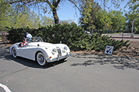 white Jag at Start