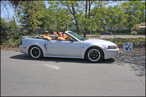 gray conv Mustang