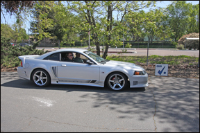 lite grey mustang