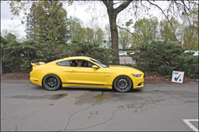 yellow Mustang